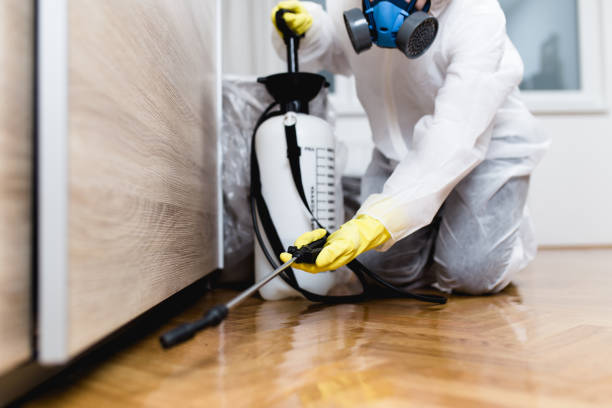 Best Cockroach Control Services  in Lavon, TX