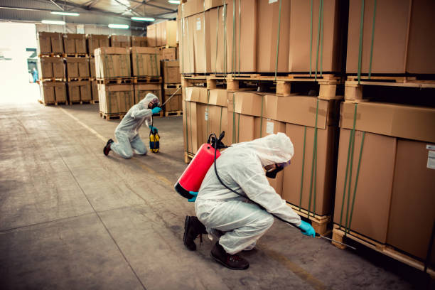 Best Pest Control Near Me  in Lavon, TX