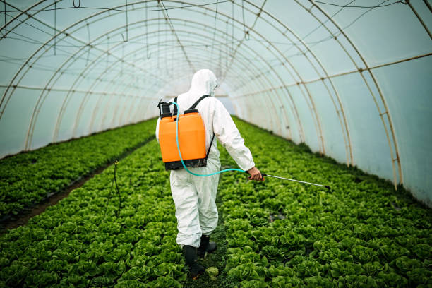 Best Pest Control Near Me  in Lavon, TX