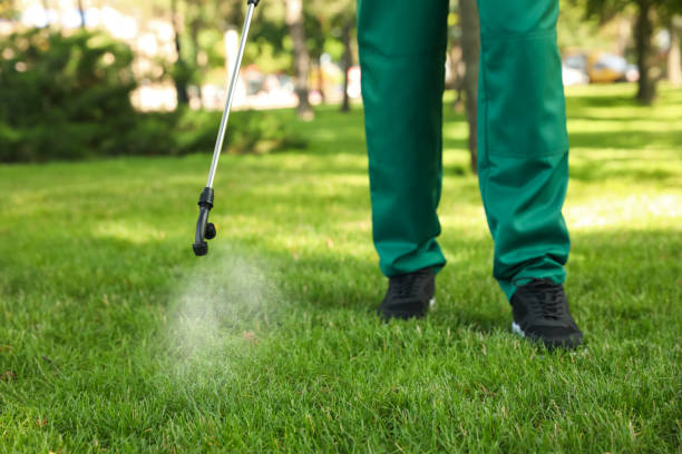 Professional Pest Control in Lavon, TX
