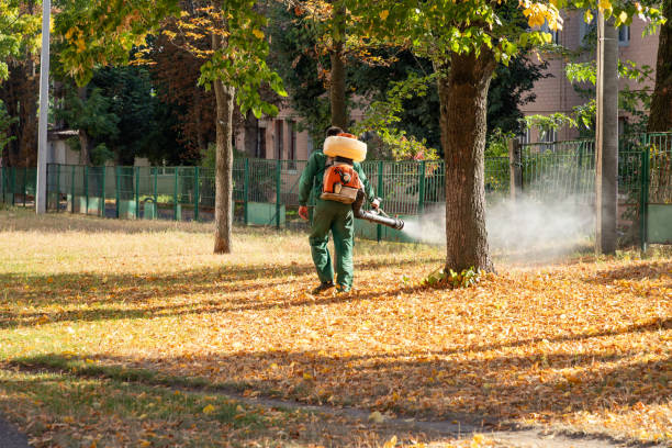 Best Insect Control  in Lavon, TX