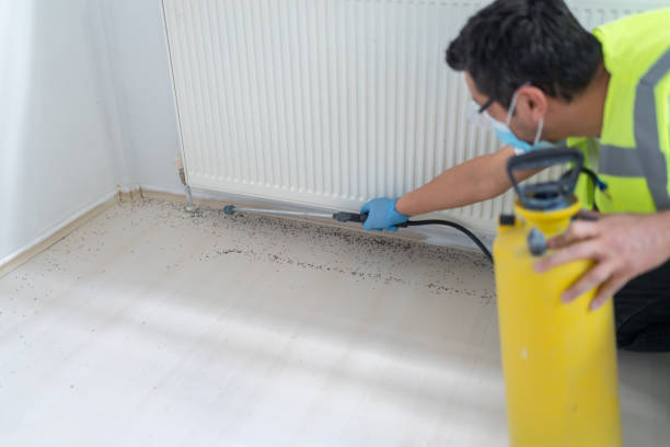 Best Residential Pest Control  in Lavon, TX