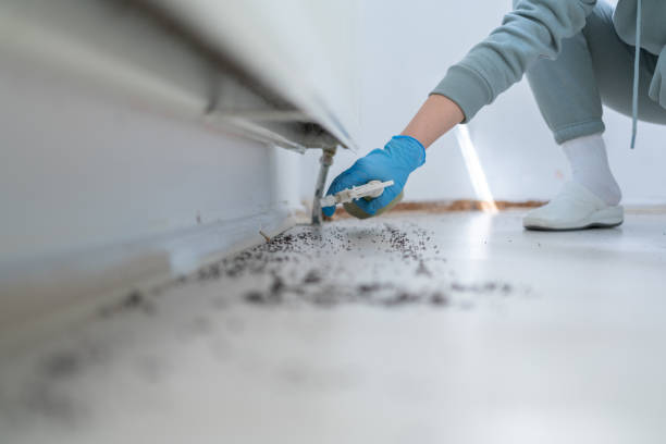 Best Pest Prevention Services  in Lavon, TX