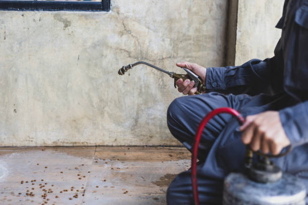 Best Pest Control for Businesses  in Lavon, TX