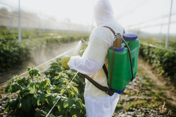 Best Best Pest Control Companies  in Lavon, TX